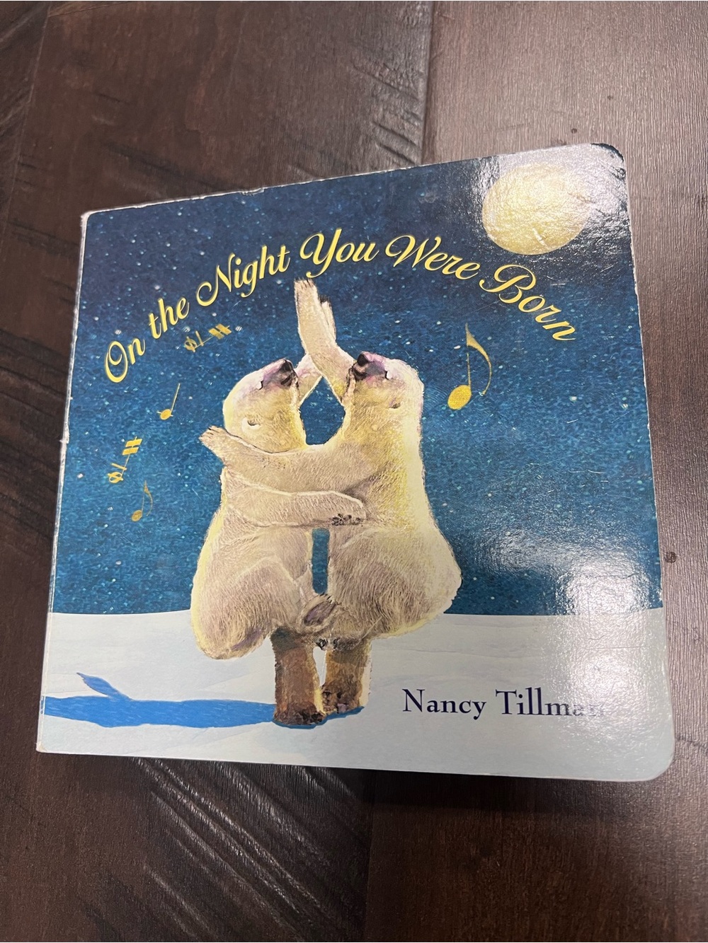 On the Night You Were Born Board Book - Polar Bear Illustration